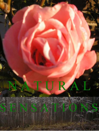 Natural Sensations Cover